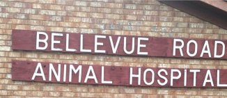 Bellevue Road Animal Hospital